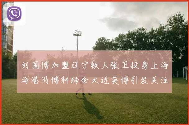 刘国博加盟辽宁铁人张卫投身上海海港冯博轩转会大连英博引发关注